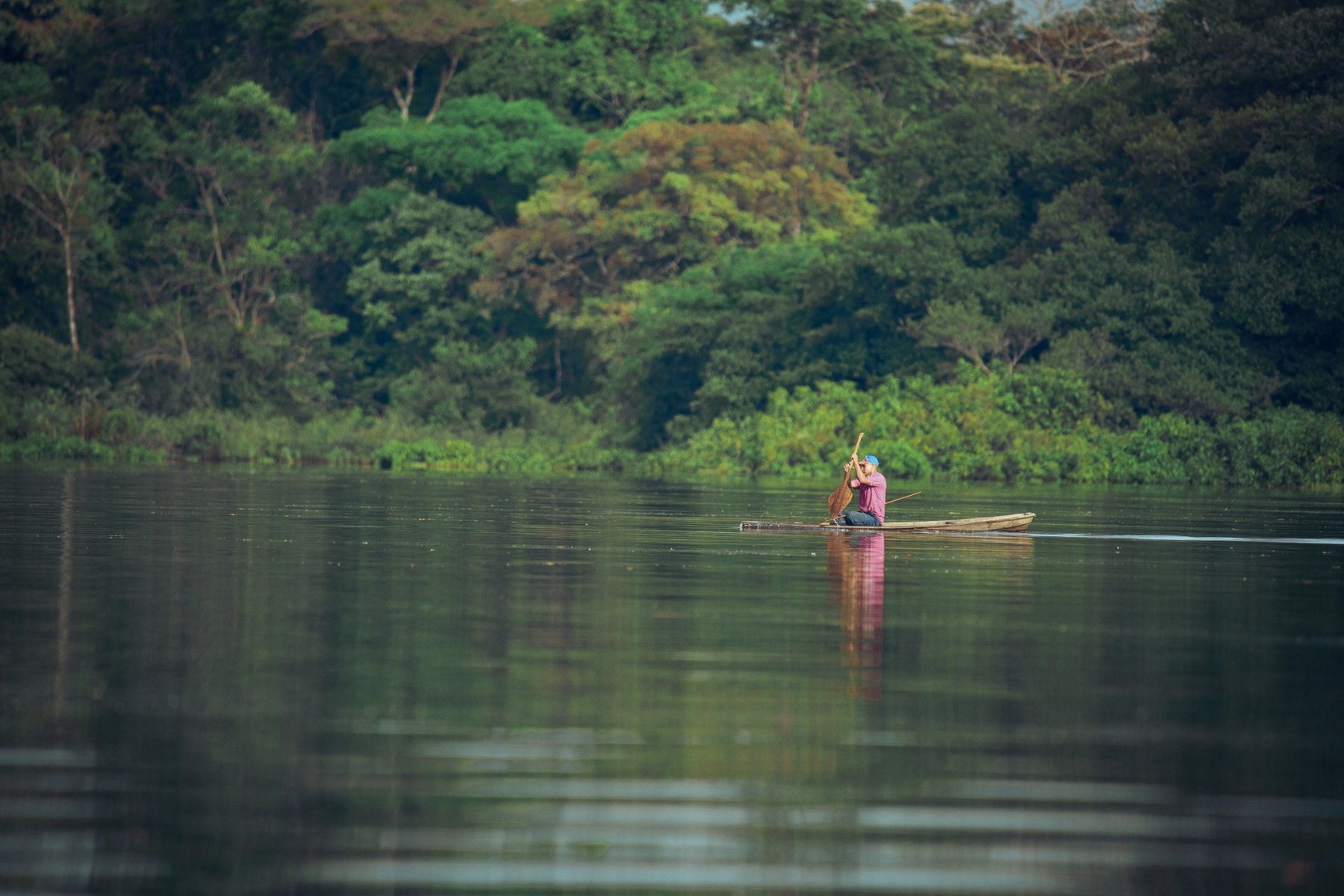 What Animals Can I See on an Amazon Tour in Leticia?