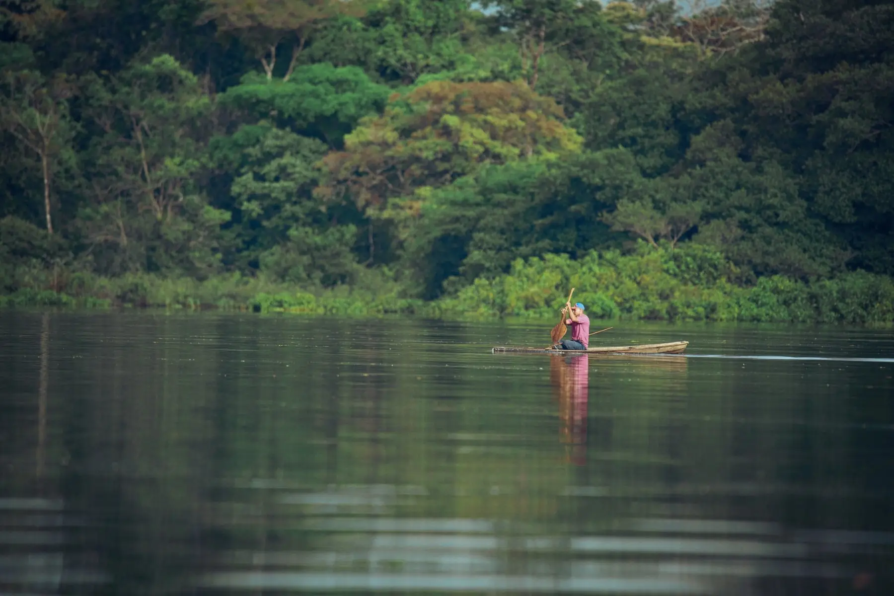What Animals Can I See on an Amazon Tour in Leticia?